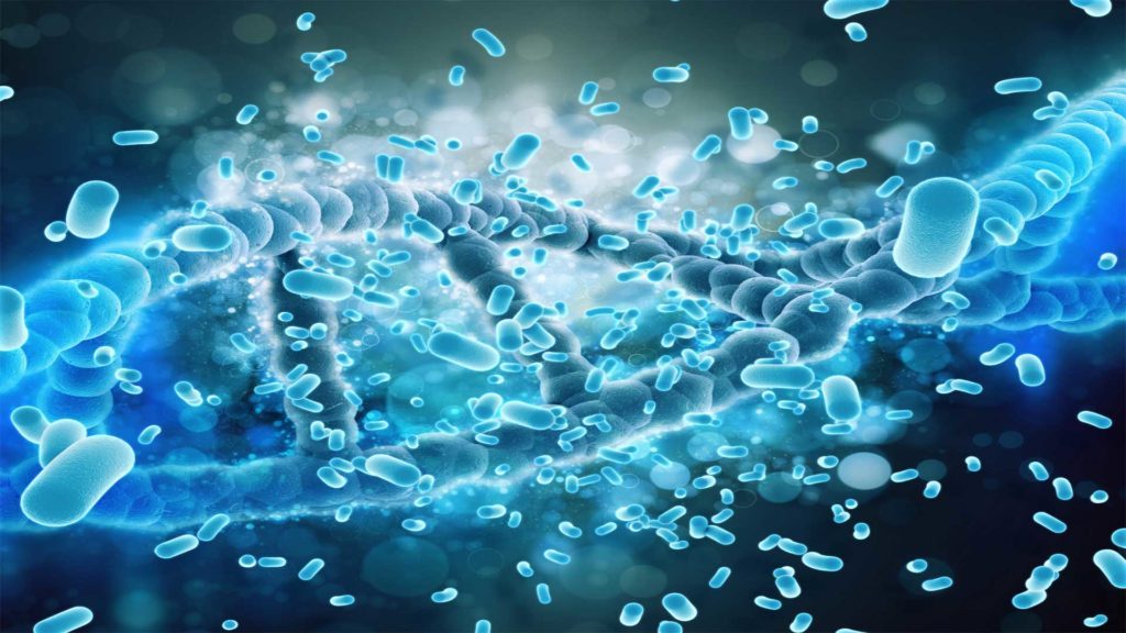 Boron Carbon and Bacteria: The Facts