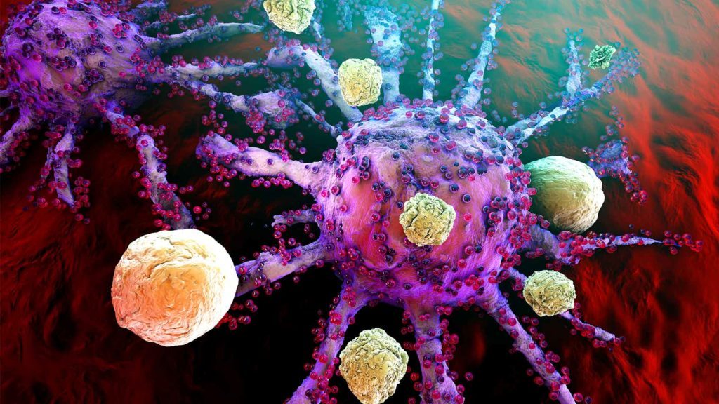 Immune System