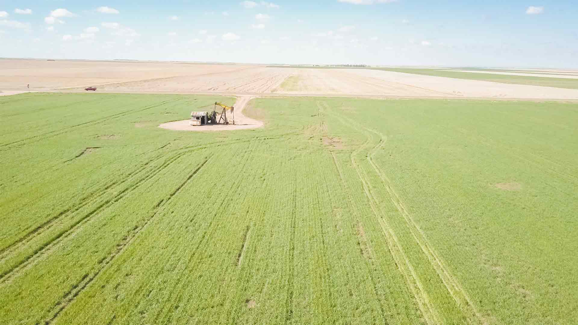 Fertilizer