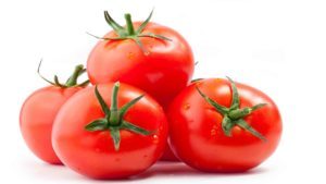 Tomato plants